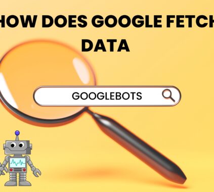 Google's data fetch process